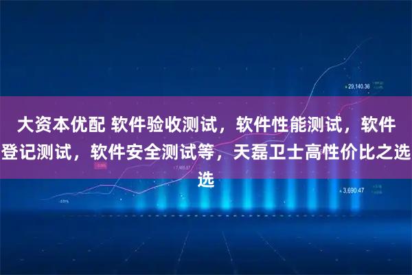 大资本优配 软件验收测试，软件性能测试，软件登记测试，软件安全测试等，天磊卫士高性价比之选